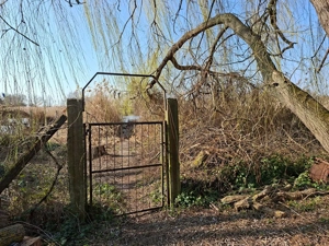 Tiszaugon vízparti ingatlan eladó. - kép 11