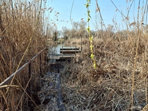 Tiszaugon vízparti ingatlan eladó. - kép 13