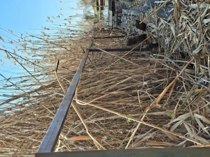 Tiszaugon vízparti ingatlan eladó. - kép 14