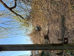 Tiszaugon vízparti ingatlan eladó. - kép 12