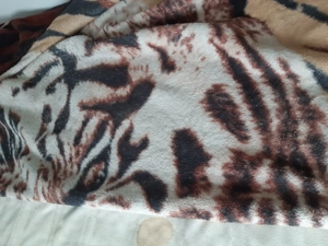 Tigris mintás ágytakaró pléd 220x200cm - kép 7