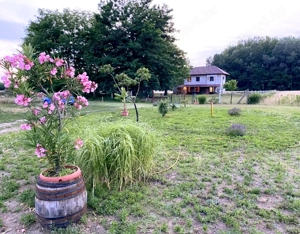 Kivételes lehetőség Kiskunmajsán   felújított tanya 1 km-re a termálfürdőtől! - kép 2