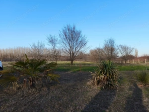 Kivételes lehetőség Kiskunmajsán   felújított tanya 1 km-re a termálfürdőtől! - kép 15