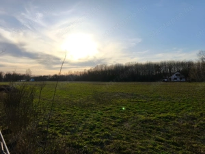 Kivételes lehetőség Kiskunmajsán   felújított tanya 1 km-re a termálfürdőtől! - kép 14