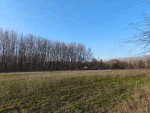 Kivételes lehetőség Kiskunmajsán   felújított tanya 1 km-re a termálfürdőtől! - kép 16