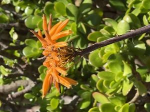 Magányos vagy? Találkozzunk!