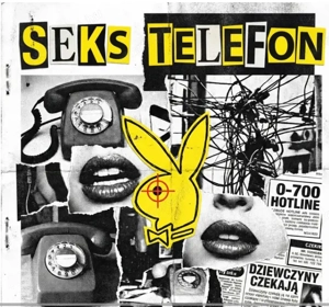 Otthonról végezhető, kötetlen munka   Legyél te a legvonzóbb hang a vonal túlsó végén!