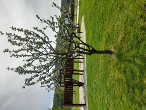 Munkát vállalok  - kép 2