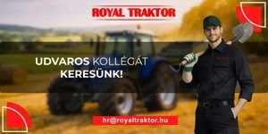 Udvaros kollégát keresünk Kecskemétre!