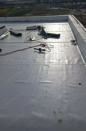 Tetődokik2 - kép 2