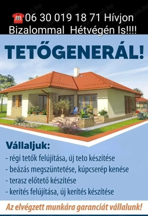 Tetődokik2 - kép 4