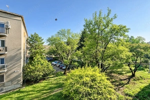 Csendes, világos, parkra néző, jó állapotú lakás eladó