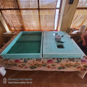 Keltetőgép eladó, rendelhető - kép 4