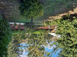 Eladó Bp.,16.ker.Sashalmon tágas,napfényes, 5 szobás családi otthon, saját garázzsal,kertrésszel - kép 7