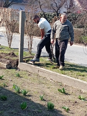 Minden féle munkát vállalok - kép 2
