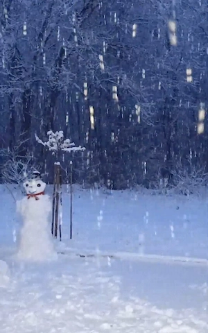 Győrben földszintes, kertkapcsolatos 2021-es építésű lakás eladó, karácsonyi kiköltözéssel - kép 6