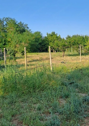 Monoron felújított, 3 szobás családi ház tetőtér beépítési lehetőséggel, 2500 m2 telekkel - kép 15