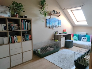 Eladó belső kétszintes lakás Zuglóban - kép 9