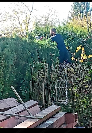 favágás kerti munka