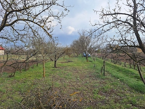 Eladó hétvégi ház