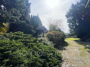 Babót   összkomfortos 2 szoba nappalis ház eladó - kép 10