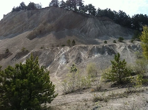 Gyenesdiáson 19,5 hektáros fejlesztési terület eladó - kép 5