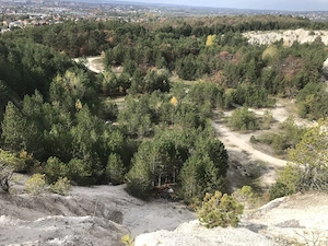 Gyenesdiáson 19,5 hektáros fejlesztési terület eladó - kép 8