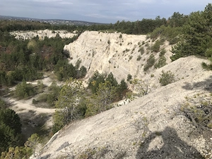 Gyenesdiáson 19,5 hektáros fejlesztési terület eladó - kép 6
