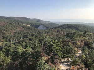 Gyenesdiáson 19,5 hektáros fejlesztési terület eladó - kép 9