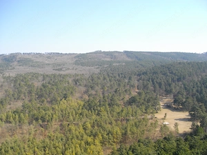 Gyenesdiáson 19,5 hektáros fejlesztési terület eladó - kép 12