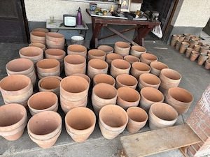 Eladó virág cser p j