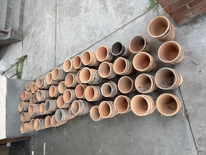 Eladó virág cser p j - kép 2