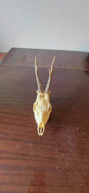 hagyatékból származó aggancsok eladóak - kép 2