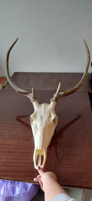 hagyatékból származó aggancsok eladóak - kép 3