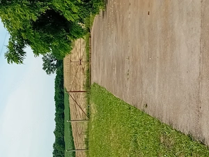 Eladó Üllőn ipari telek telephely. - kép 6