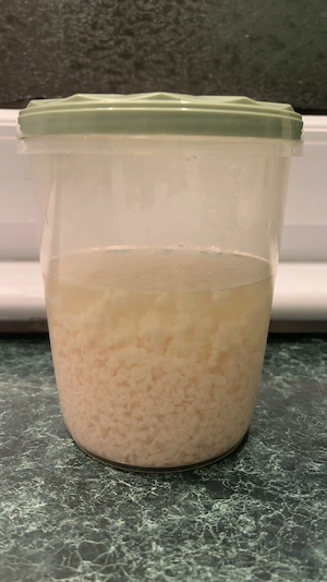 Kaukázusi kefírgomba eladó - kép 3