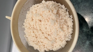 Kaukázusi kefírgomba eladó