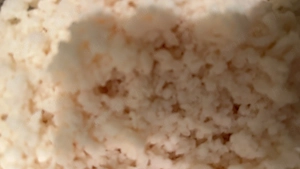 Kaukázusi kefírgomba eladó - kép 2