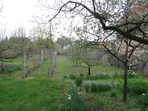 Győrszentiván Kertvárosban hétvégi ház eladó - kép 5