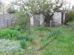 Győrszentiván Kertvárosban hétvégi ház eladó - kép 6