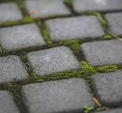 Térkő Tisztítás,Fuga Szélek Teljes Lezárása,Kétt Komponensű Anyaggal. - kép 2