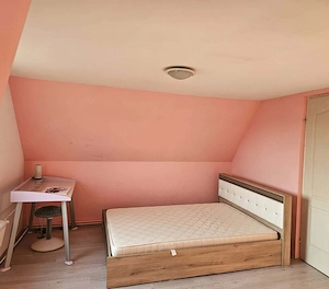 Monor zártkerti részén, 4 szoba + 2 nappalis ház 1860 m2 telekkel - kép 11