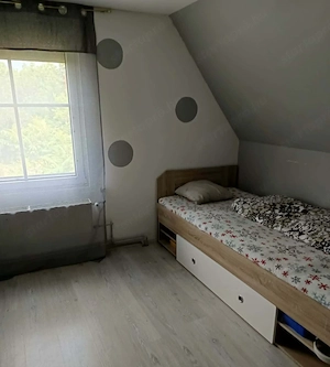 Monor zártkerti részén, 4 szoba + 2 nappalis ház 1860 m2 telekkel - kép 9