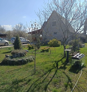 Monor zártkerti részén, 4 szoba + 2 nappalis ház 1860 m2 telekkel - kép 15