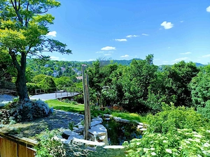 XII. Svábhegy lakás kiadó