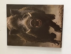 Arany fényben lévő nő" 60*40 cm 12000ft óbuda 36 50 104 8272  Egy stílusos és kifejező kép minőségi  - kép 4