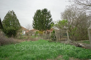 Bősárkány - magas alapos 2 + 1 félszobás családi ház eladó - kép 6