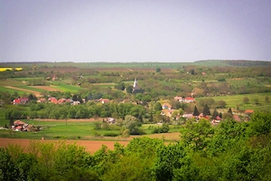 Eladó Helesfán  Pécstől  25 km re( 20 perc autóval)   a Pécsi szőlő bor termelő vidéken .1.5 hektár  - kép 2