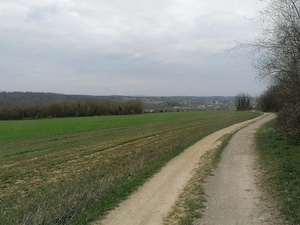 Eladó Helesfán  Pécstől  25 km re( 20 perc autóval)   a Pécsi szőlő bor termelő vidéken .1.5 hektár  - kép 3
