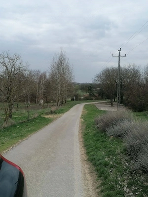 Eladó Helesfán  Pécstől  25 km re( 20 perc autóval)   a Pécsi szőlő bor termelő vidéken .1.5 hektár  - kép 4